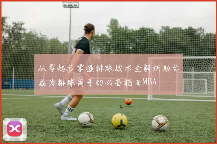 从零起步掌握排球战术全解析助你成为排球高手的必备指南MBA