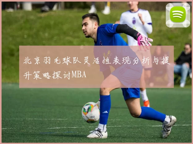 北京羽毛球队灵活性表现分析与提升策略探讨MBA