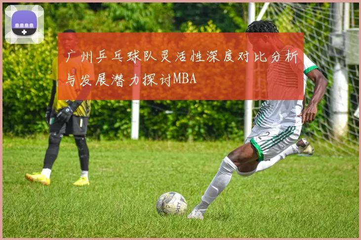 广州乒乓球队灵活性深度对比分析与发展潜力探讨MBA