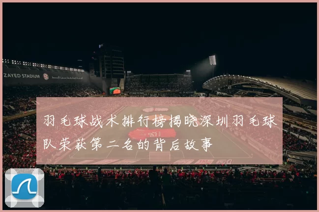 羽毛球战术排行榜揭晓深圳羽毛球队荣获第二名的背后故事