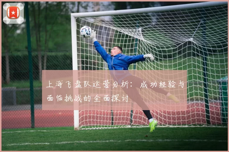 上海飞盘队运营分析：成功经验与面临挑战的全面探讨